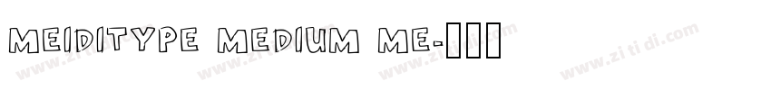 MEIDITYPE MEDIUM ME字体转换